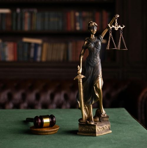 pexels-ekaterina-bolovtsova-6077123